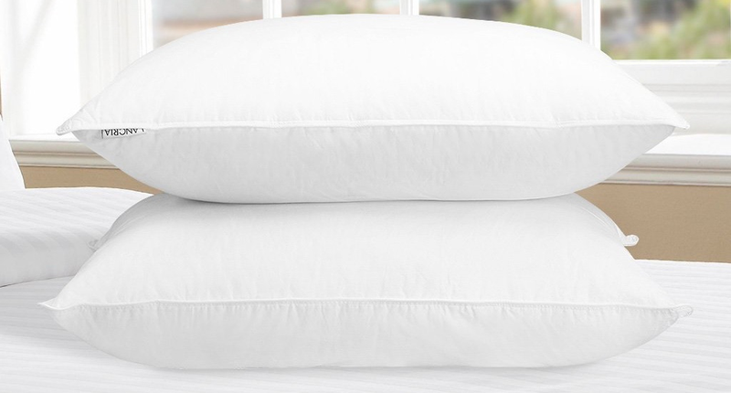 Langria Pillow 2-pack, $22 with code PRHMTDEZ